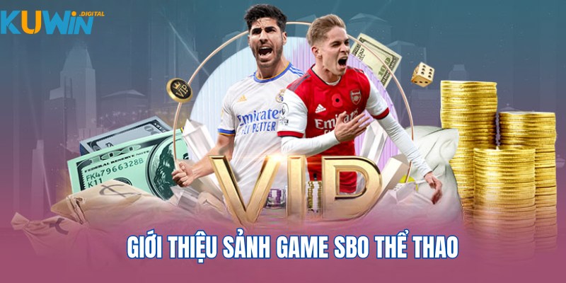 Thông tin khái quát về nhà cung cấp SBO Sports